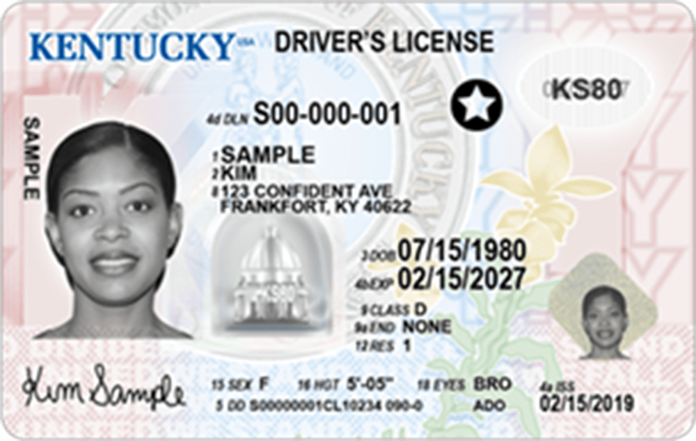 Vector template of sample driver license plastic card for USA