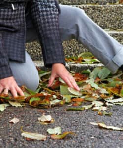 person falling on leaves