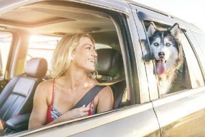 female with pet in back seat of car